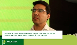 Érico Paredes - Diretor executivo da Biosul