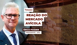 Érico Pozzer - Presidente - APA