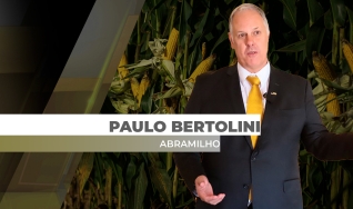 Paulo Bertolini - Presidente da Abramilho