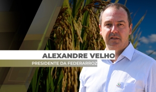 Alexandre Velho - Presidente da Federarroz