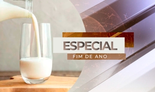 Paulo Martins - Pesquisador Embrapa