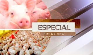 Wagner Hiroshi Yanaguizawa - Analista de Proteína Animal do Rabobank