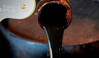 Thiago Davino - Analista de Mercado da Agrinvest