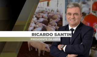 Ricardo Santin - Presidente da ABPA