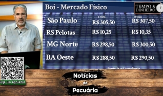 Boi gordo fecha a semana com tendência de alta para os próximos 3 meses. EUA atacam carne do Brasil