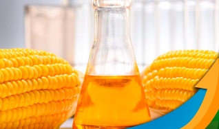 Guilherme Nolasco - Presidente da Unem