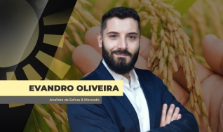 Evandro Oliveira - Analista de Mercado da Safras & Mercado