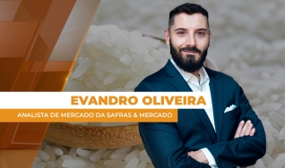 Evandro Oliveira - Analista de Mercado da Safras & Mercado