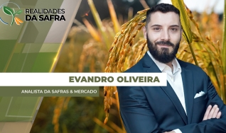 Evandro Oliveira - Analista da Safras & Mercado