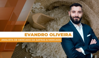 Evandro Oliveira - Analista de Mercado da Safras & Mercado