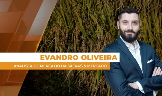Evandro Oliveira - Analista de Mercado da Safras & Mercado