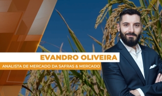 Evandro Oliveira - Analista de Mercado da Safras & Mercado