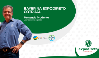 Bayer traz 30 lançamentos de soja para esta safra e chega em 2023 com mais 60 novidades