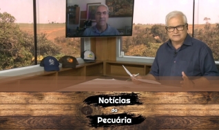 Tempo  & Dinheiro - Notícias da Pecuária, com Sérgio Braga