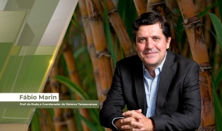 Fabio Marin - Coordenador do sistema TEMPOCAMPO