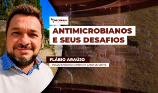 Flábio Araújo - Pesquisador da Embrapa Gado de Corte
