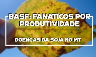 As doenças da soja presentes na BR-163 - MT