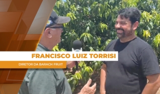 Francisco Luiz Torrisi