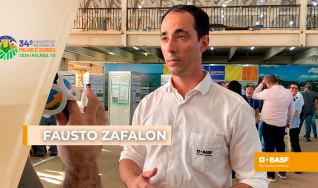 Fausto Zafalon - Desenvolvimento de Tecnologia Bahia BASF