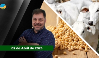 Fechamento de Mercado - Com Aleksander Horta