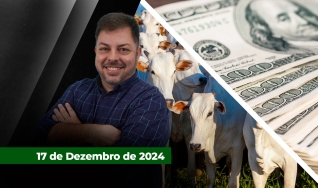 Fechamento de Mercado - Com Aleksander Horta