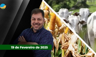 Fechamento de Mercado - Com Aleksander Horta