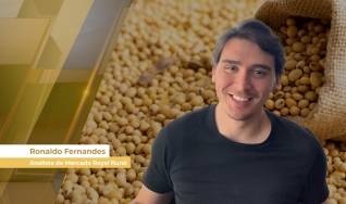 Ronaldo Fernandes - Analista de Mercado Royal Rural