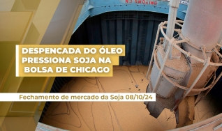 Ronaldo Fernandes - Analista de Mercado Royal Rural
