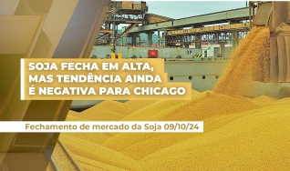 Luiz Fernando Gutierrez Roque - Analista da Consultoria Safras & Mercado