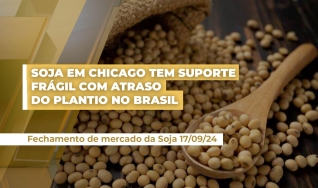 Luiz Fernando Gutierrez - Consultor da Safras & Mercado