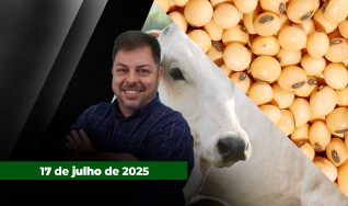 Fechamento de Mercado - Programa Completo