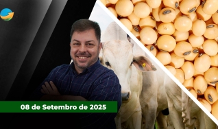 Fechamento de Mercado