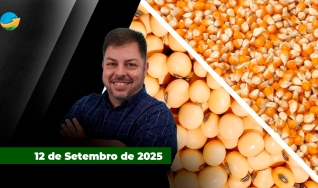 Fechamento de Mercado - Programa Completo