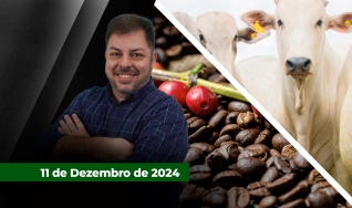 Fechamento de Mercado, com Aleksander Horta