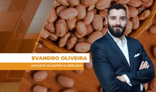 Evandro Oliveira - Analista da Safras & Mercado