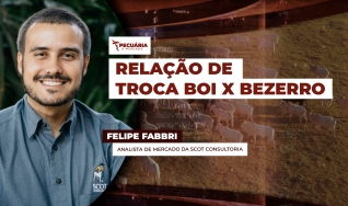 Felipe Fabbri - Analista de Mercado da Scot Consultoria