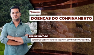 Felipe Pivoto - Gerente de Serviços Técnicos para Bovinos da  Vetoquinol
