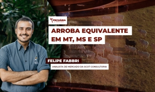 Felipe Fabbri - Analista de Mercado da Scot Consultoria