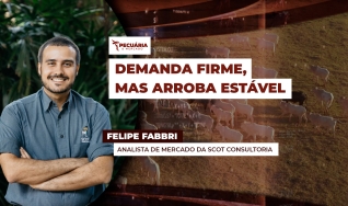 Felipe Fabbri - Analista de Mercado da Scot Consultoria