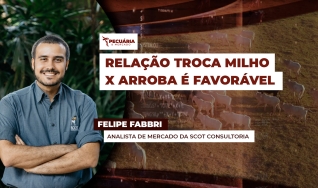 Felipe Fabbri - Analista de Mercado da Scot Consultoria