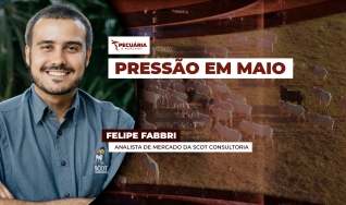 Felipe Fabbri - Analista de Mercado da Scot Consultoria