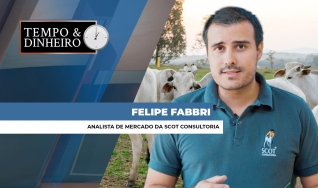 Felipe Fabbri
