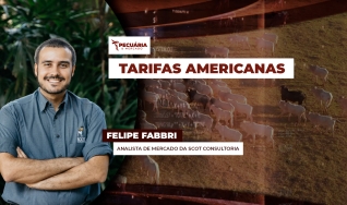 Felipe Fabbri - Analista de Mercado da Scot Consultoria