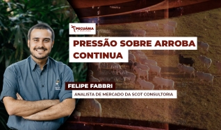 Felipe Fabbri - Analista de Mercado da Scot Consultoria