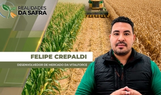 Felipe Crepaldi - Desenvolvedor de Mercado da Vitalforce