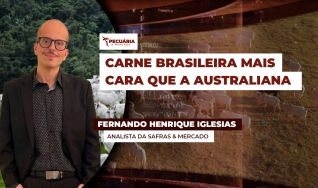 Fernando Henrique Iglesias - Analista da Safras & Mercado