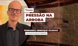 Fernando Henrique Iglesias - Analista da Safras & Mercado