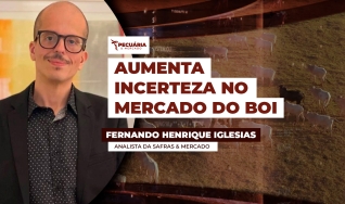 Fernando Henrique Iglesias - Analista da Safras & Mercado
