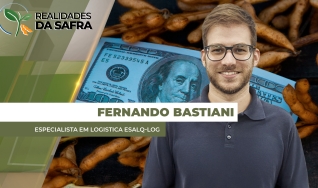 Fernando Bastiani - Especialista em logistica Esalq-Log