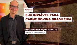 Fernando Henrique Iglesias - Analista da Safras & Mercado
